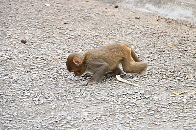 IMG_3839.JPG